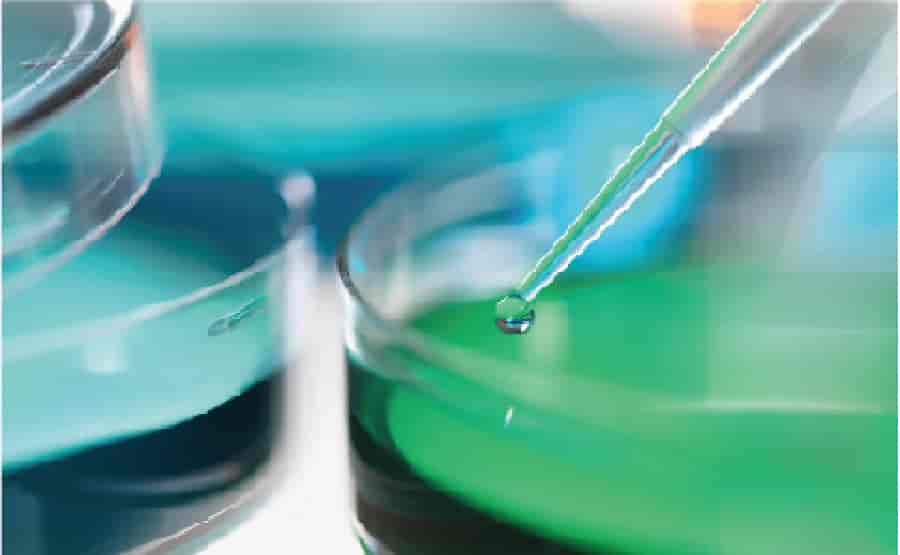 定性分析与定量分析区别