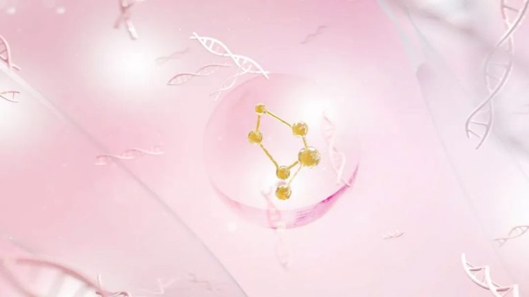 国家药监局关于《已使用化妆品原料目录》管理有关事项的公告（2025年第61号）